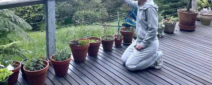 Talltimmeroas