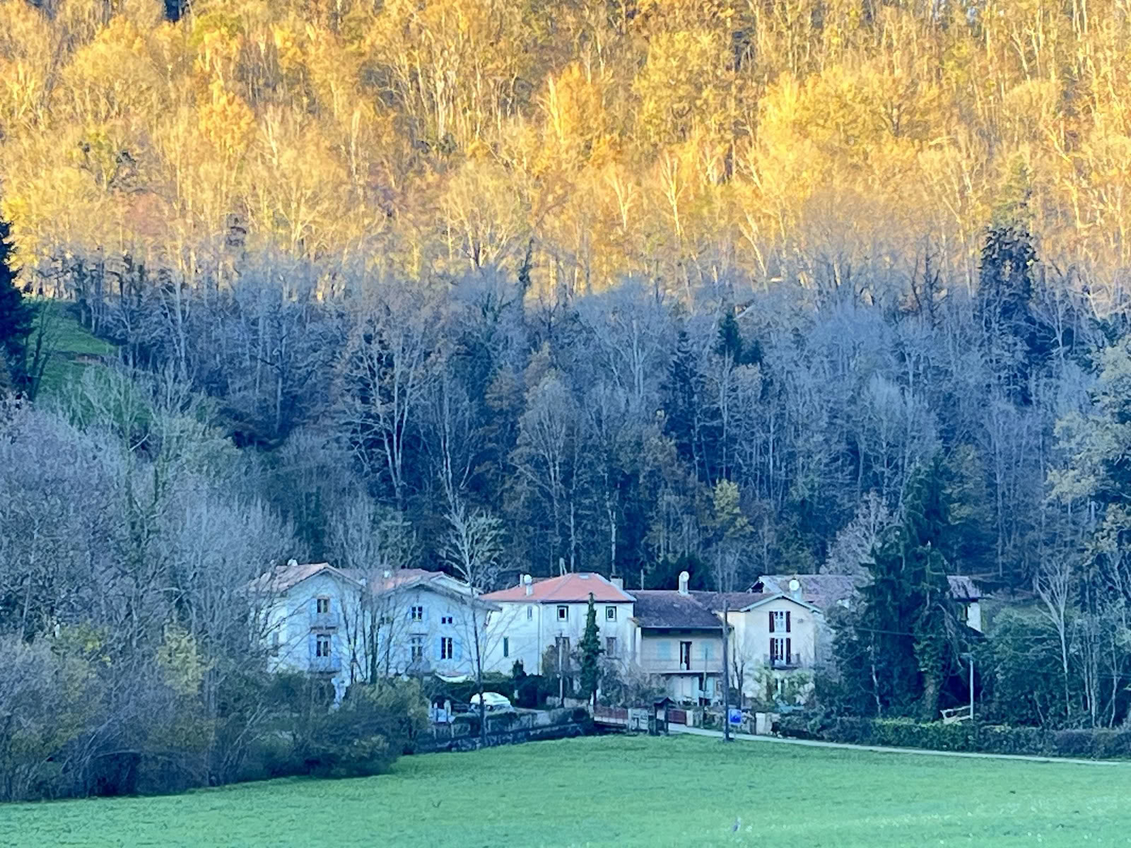 Viveka Center för Vara
