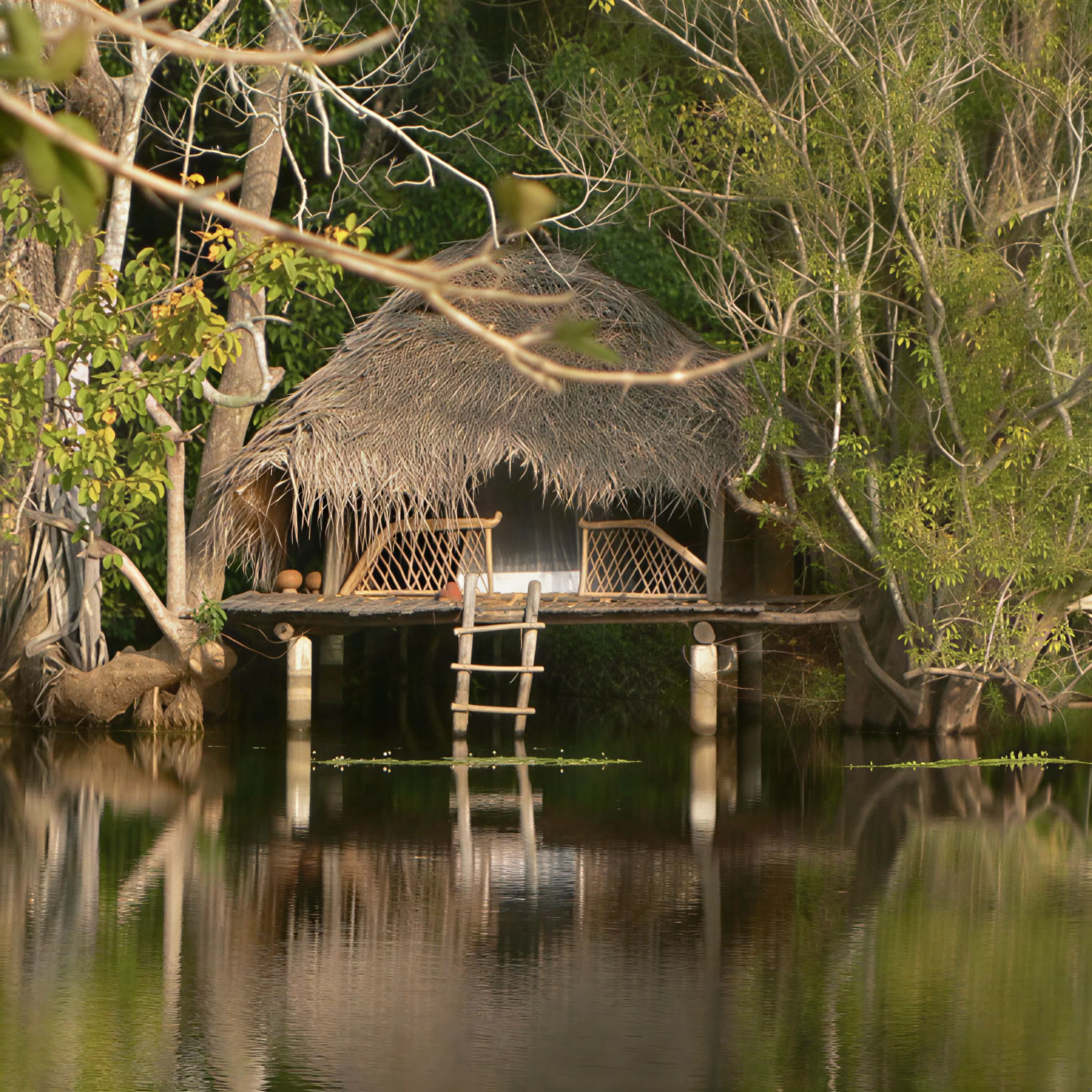 Ulpotha Yoga- och ayurvedaretreat