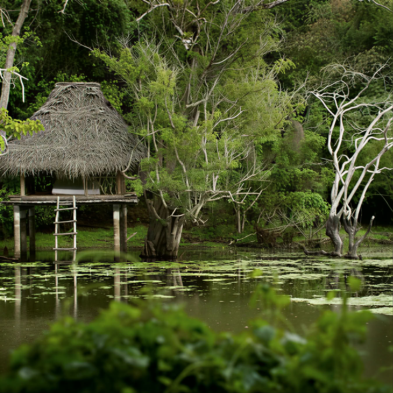 Ulpotha Yoga- och ayurvedaretreat