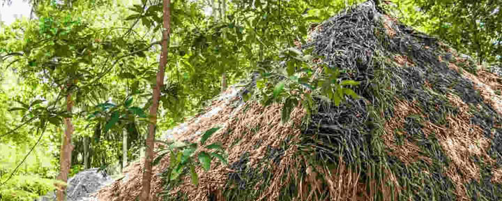 Ulpotha Yoga- och ayurvedaretreat