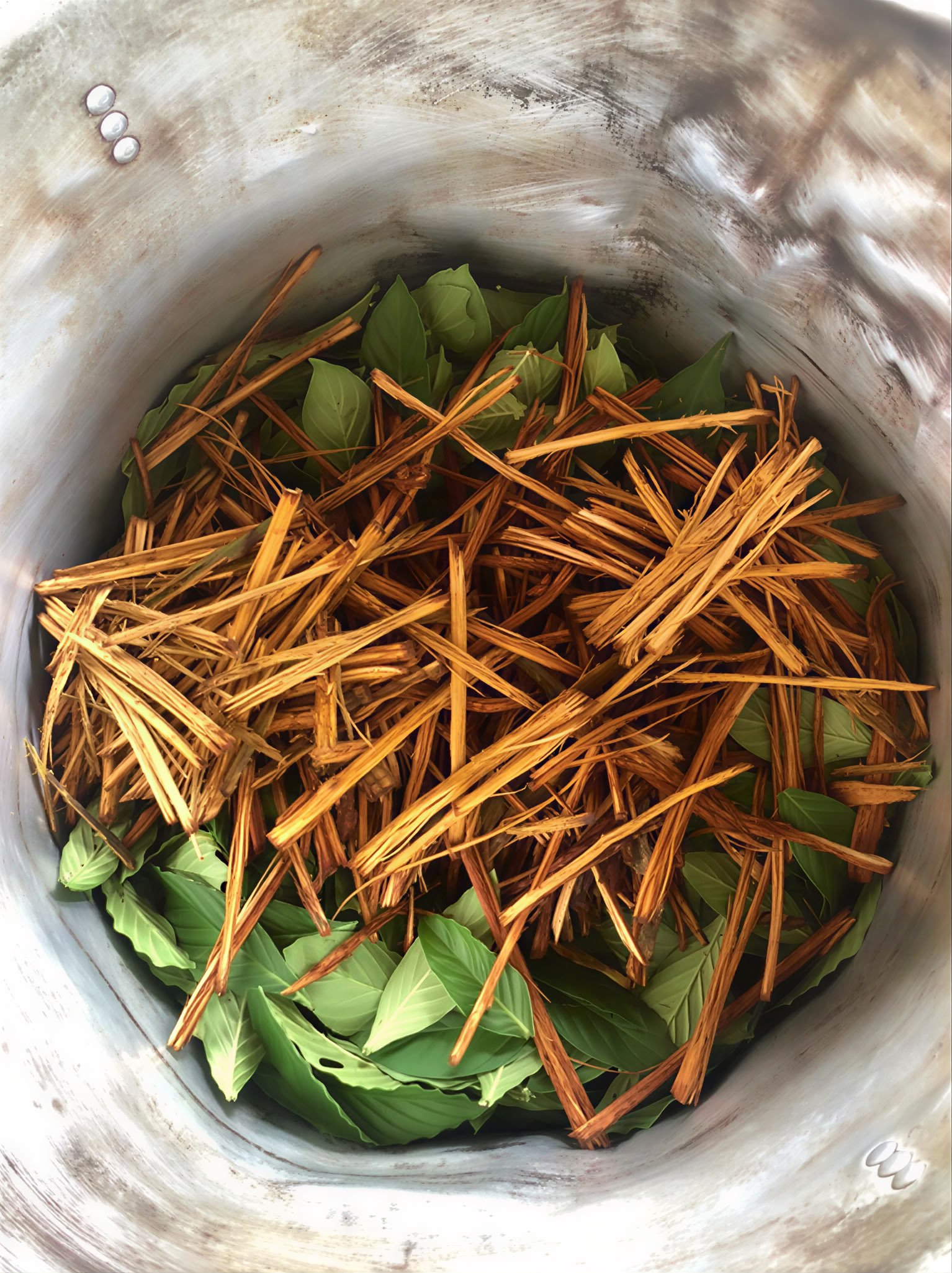 Isayaka Ayahuascahealing
