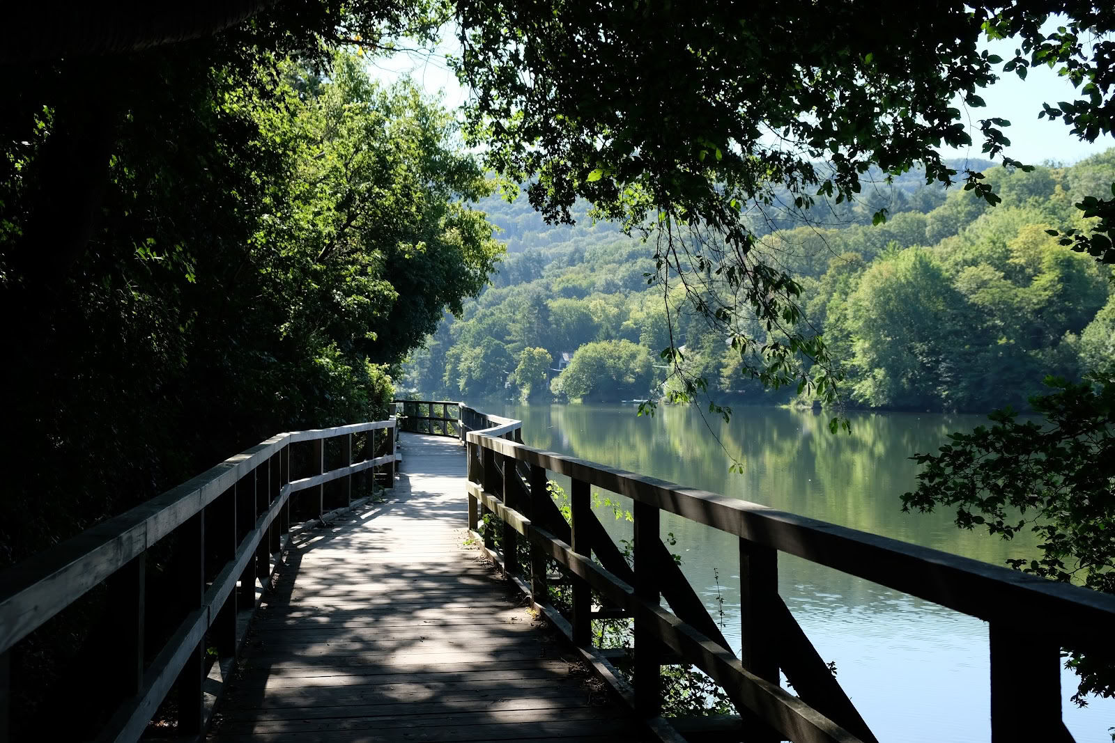 Anandam Yoga School — Nationalparken Eifel