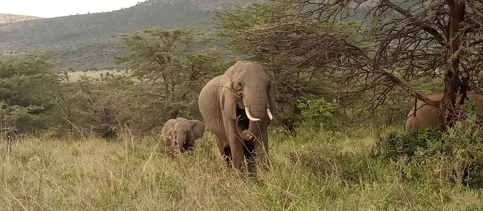 Entumoto Safari Camp