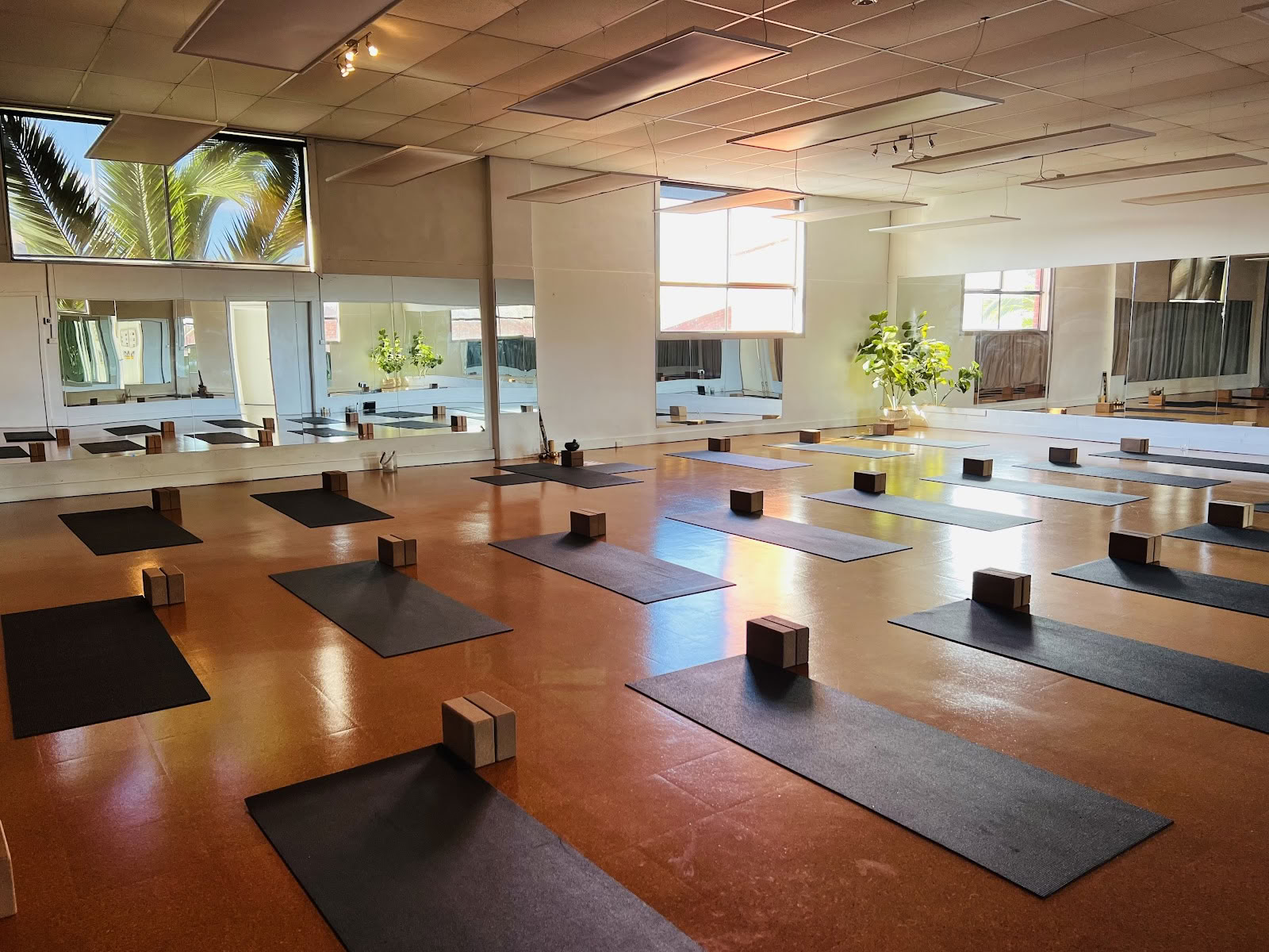 Gräsrotsyoga + Pilates