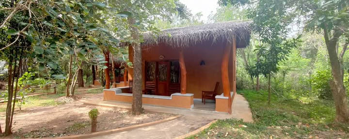 Quadruple Deluxe Room