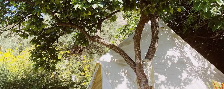 Private Bell Tent