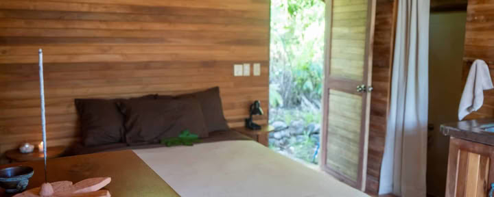 Forest Studio