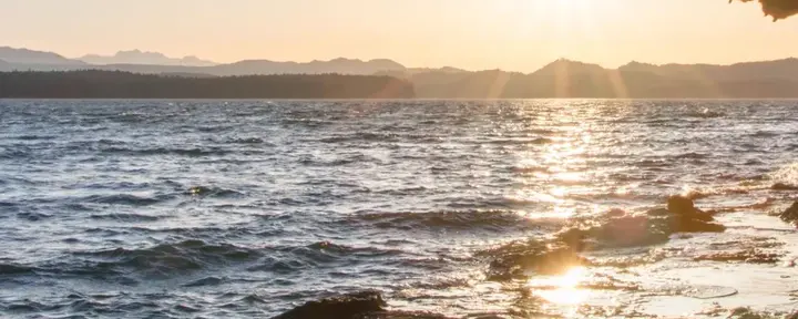 Dorm bed (upper bunk) - Conference