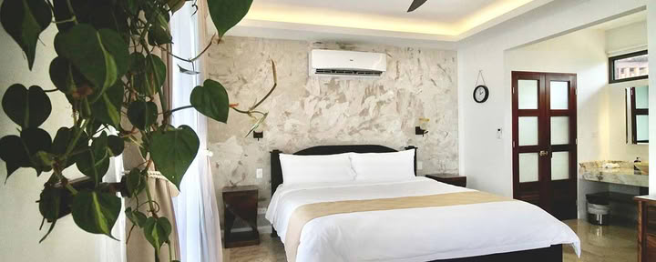 Canopy Suite