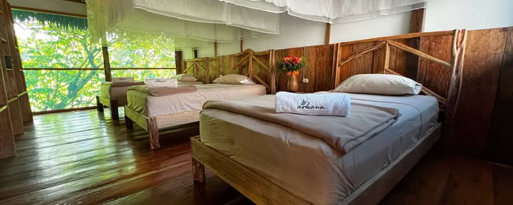 Shared Triple Room