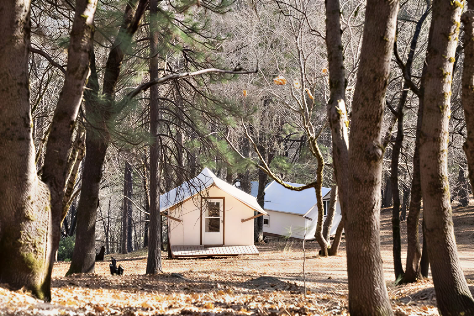 Bungalow - Garden Bungalows