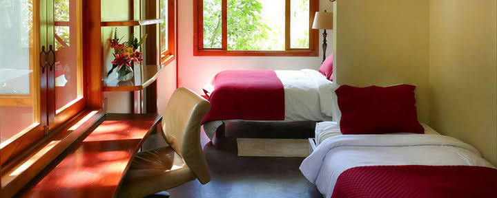 Treetop Suite