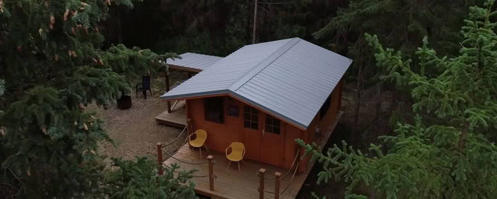The Wood's Cabin