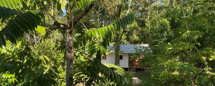 Casa Mono