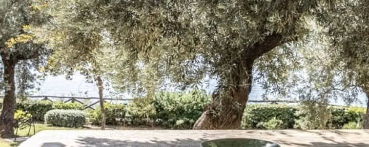 Villa Harmony