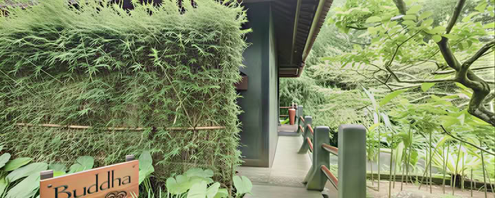 Buddha Bungalow