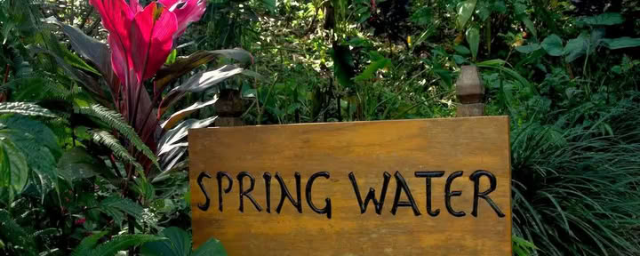 Spring Water Bungalow