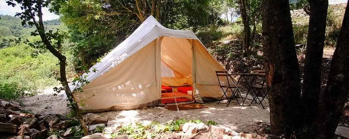 Glamping (Twin Tent)