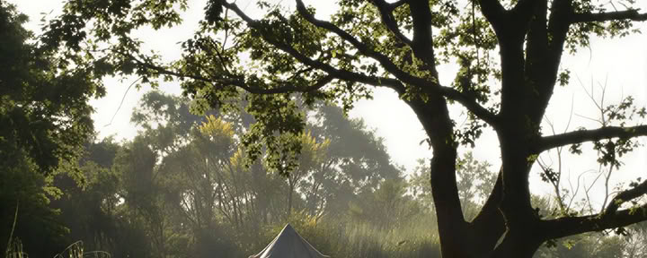 Twin Glamping in ASHA Tent