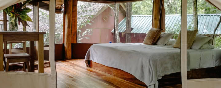 Trädgårds-glamping