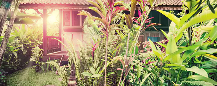 Familjesvit – LOTUS
