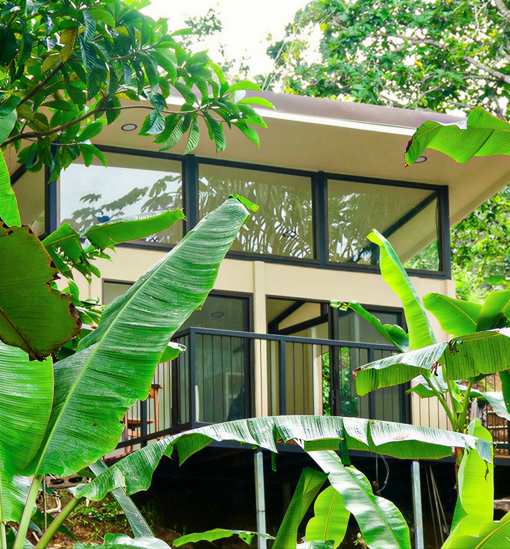 The Morpho Lodge