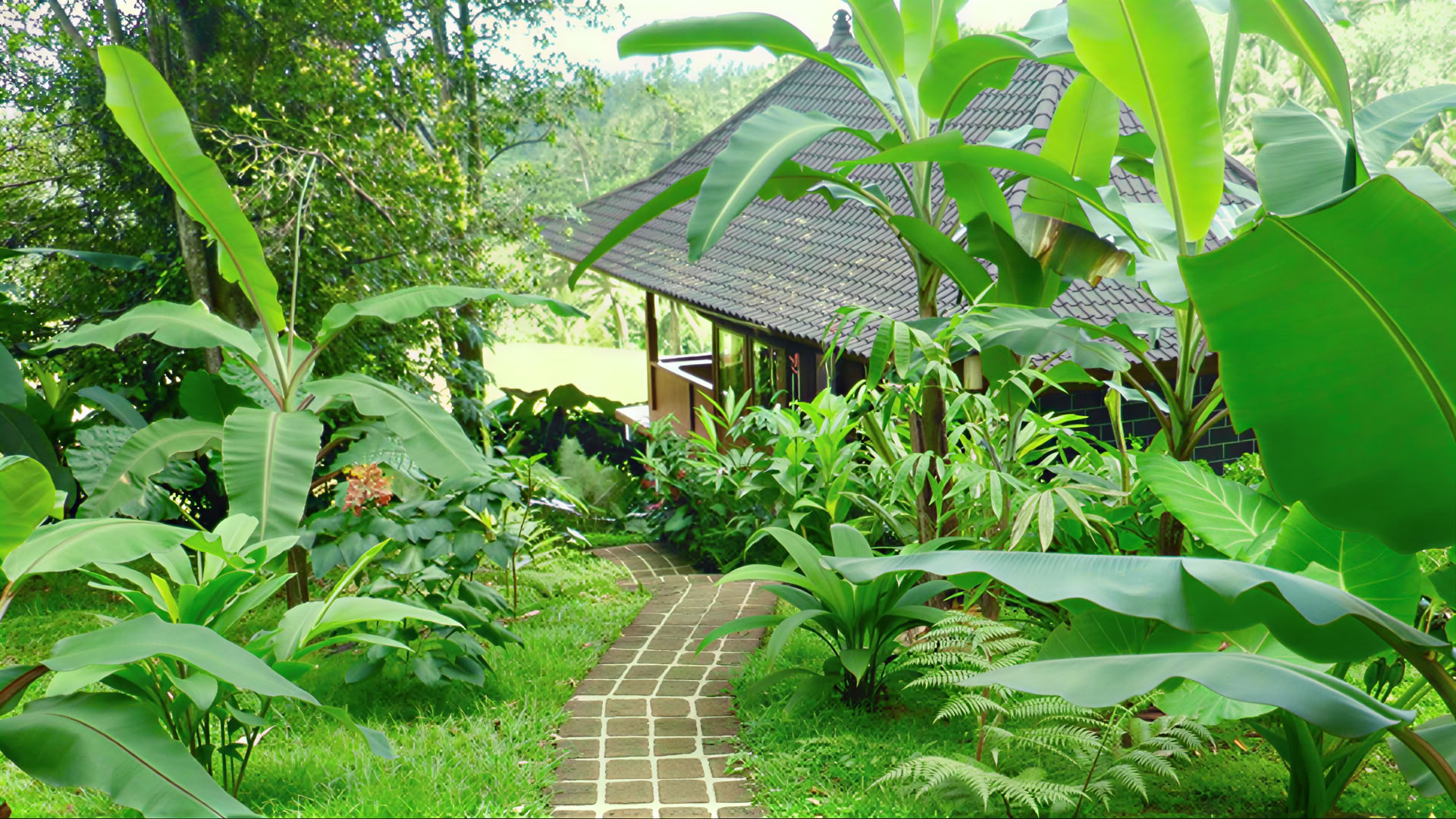 Villa Nangka
