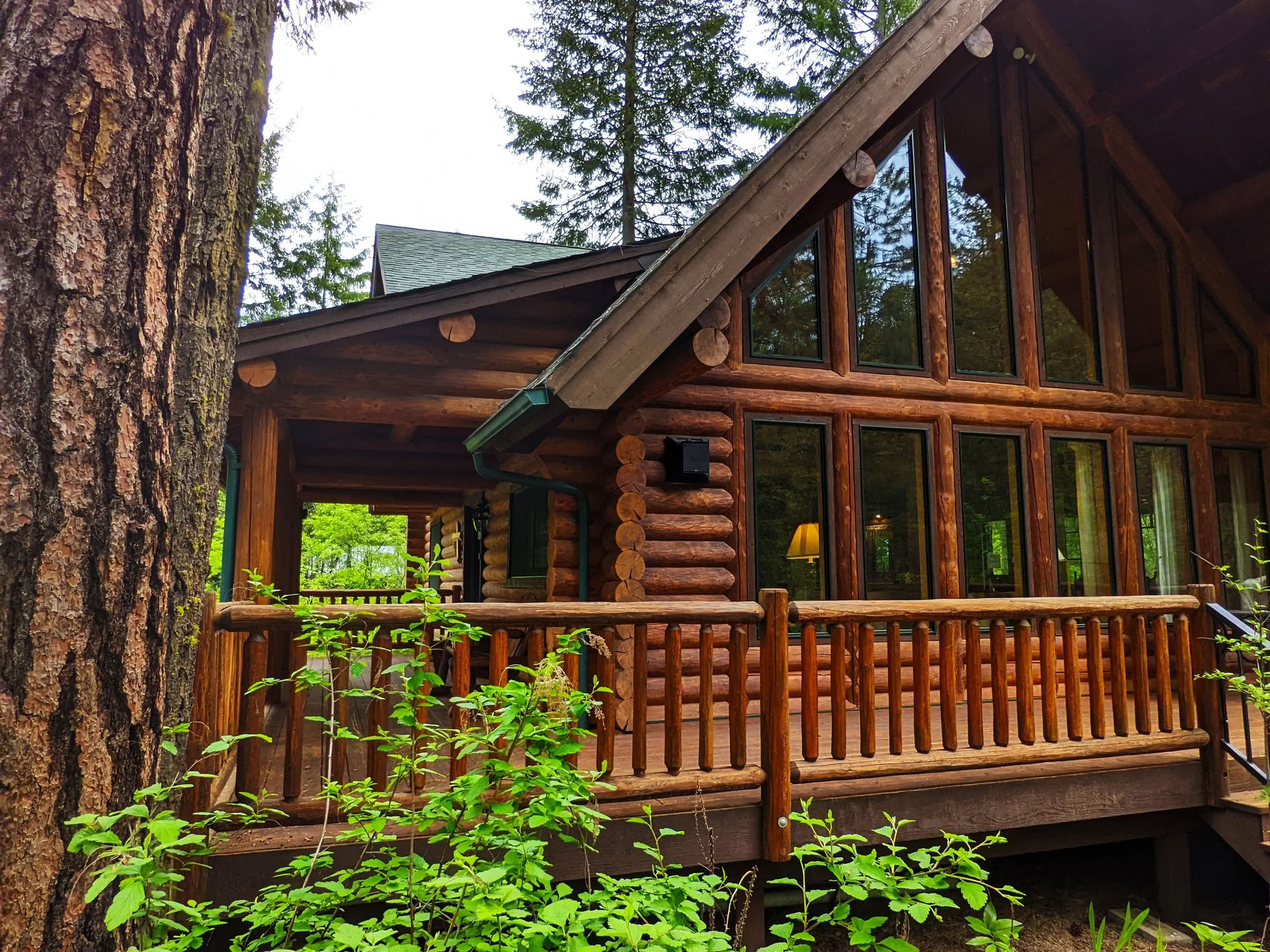 Woodland Chalet