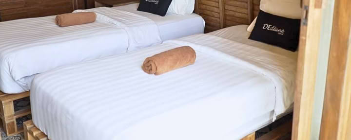 Twin Shared Room in Campus-I