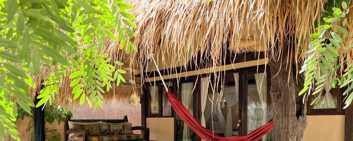 Jungle Hut 1