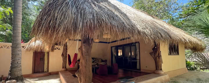 Jungle Hut 3