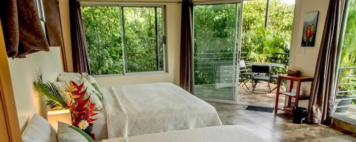 Iguana Room