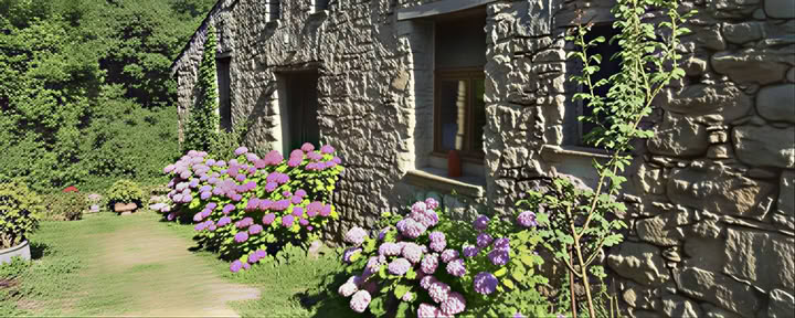 Zendo Apartment A