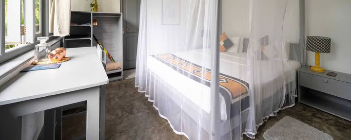 Plam View Room
