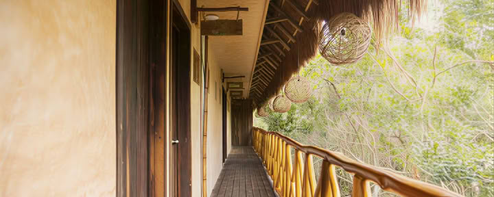 Jungle Room with Terrace