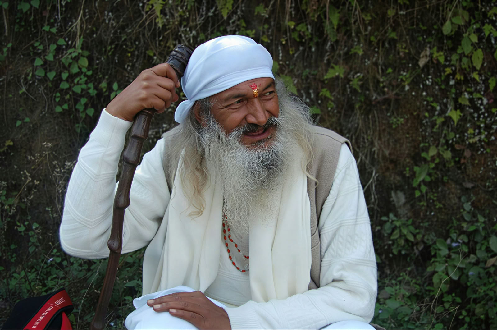 Shri Mahaveer Prasad Kandwal